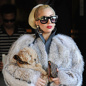 Lady Gaga defends her decision to wear fur clothes