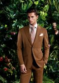 Photo 5 from album Brown suits