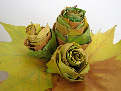 How to make beautiful roses from autumn leaves